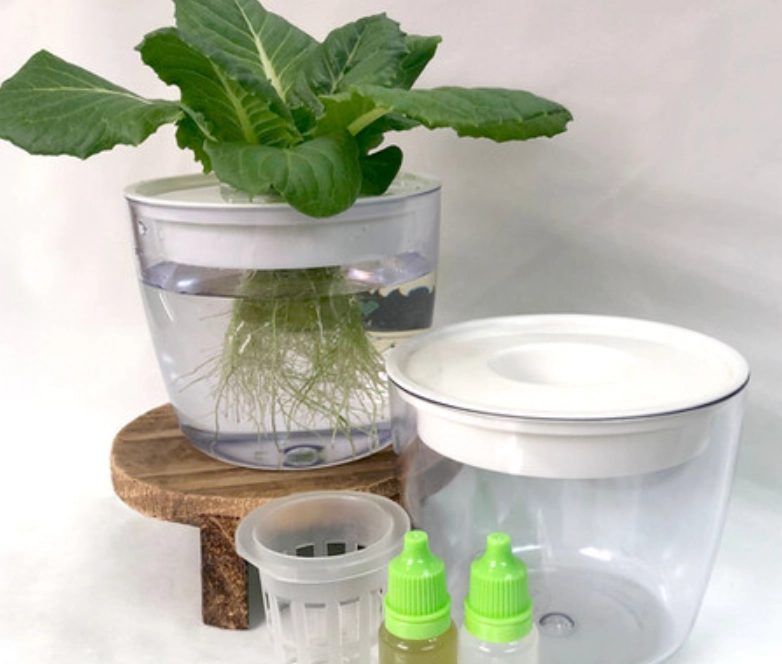 水耕容器推薦 水耕容器推薦