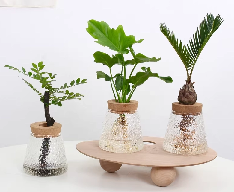 水耕種植優點 水耕種植優點