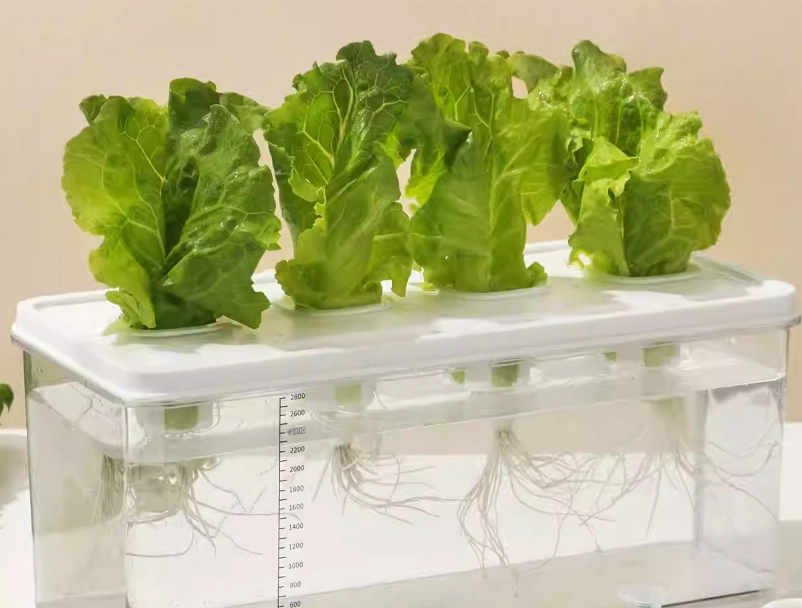 室內種植 室內種植