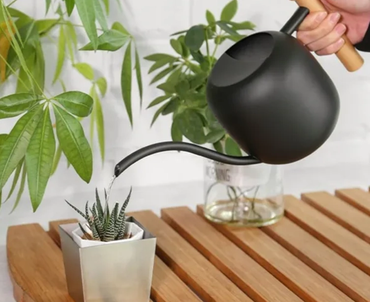 盆栽養護技巧 盆栽養護技巧