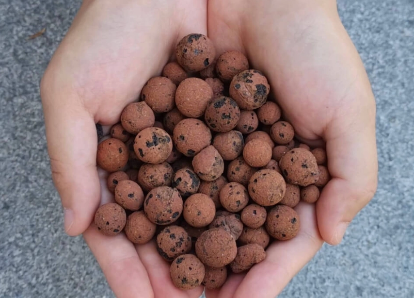 發泡煉石使用心得 發泡煉石使用心得