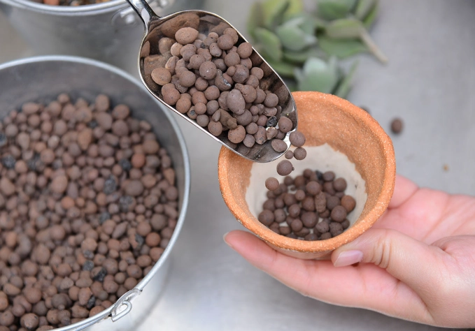 發泡煉石園藝應用