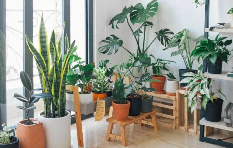 花盆材質比較 花盆材質比較