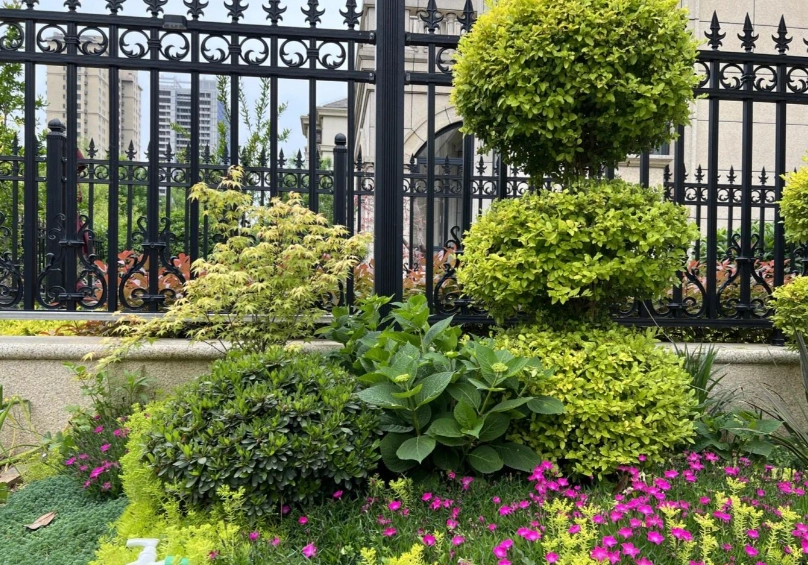 耐陰植物推薦 耐陰植物推薦