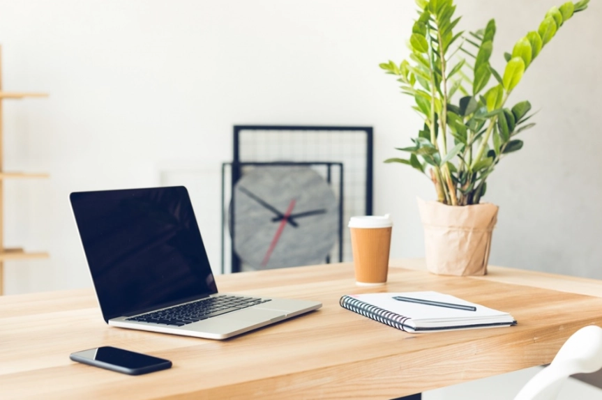 辦公桌盆栽選擇 辦公桌盆栽選擇