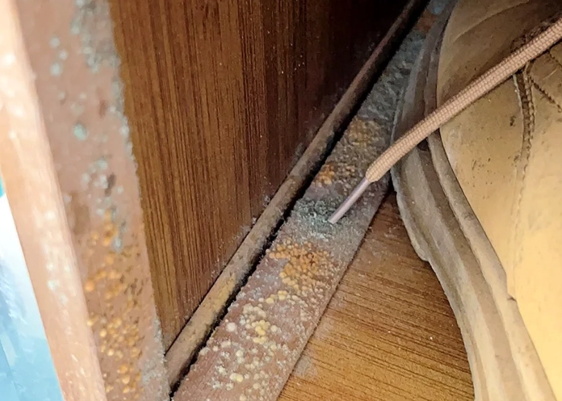 竹家具防霉 竹家具防霉