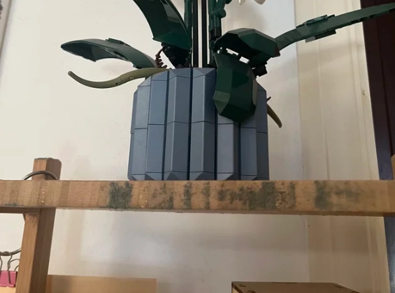 竹家具防霉 竹家具防霉