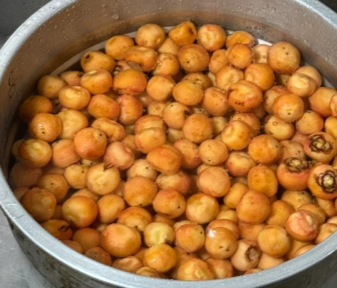 黃椰子果實用途 黃椰子果實用途