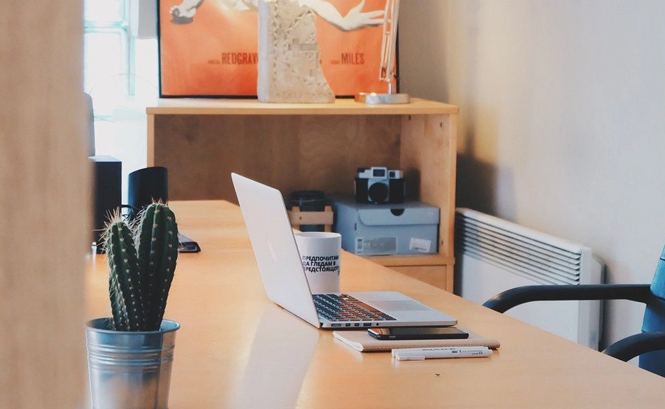 辦公室植物風水 辦公室植物風水