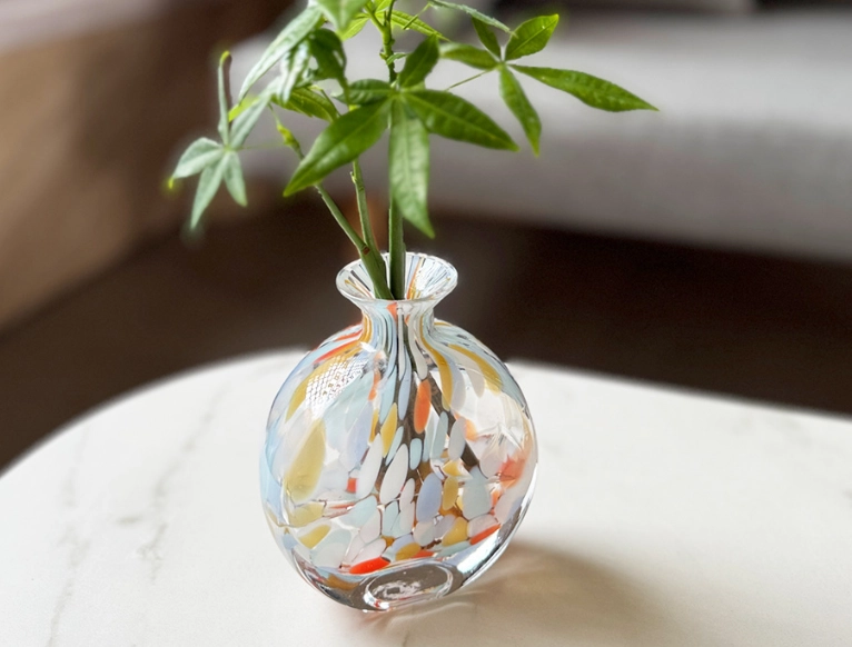 發財樹水種方法 發財樹水種方法