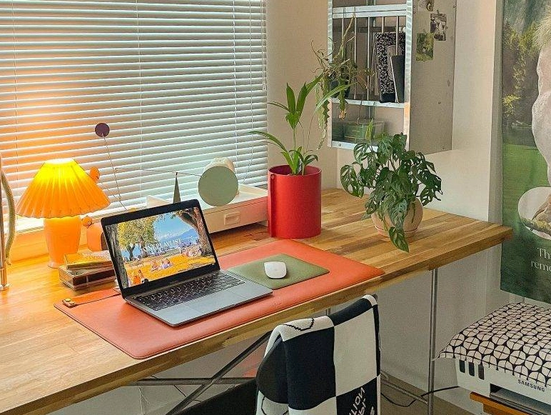 辦公桌盆栽選擇 辦公桌盆栽選擇