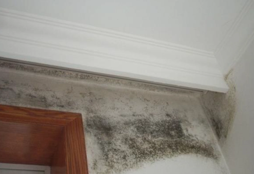 精油防霉方法 精油防霉方法