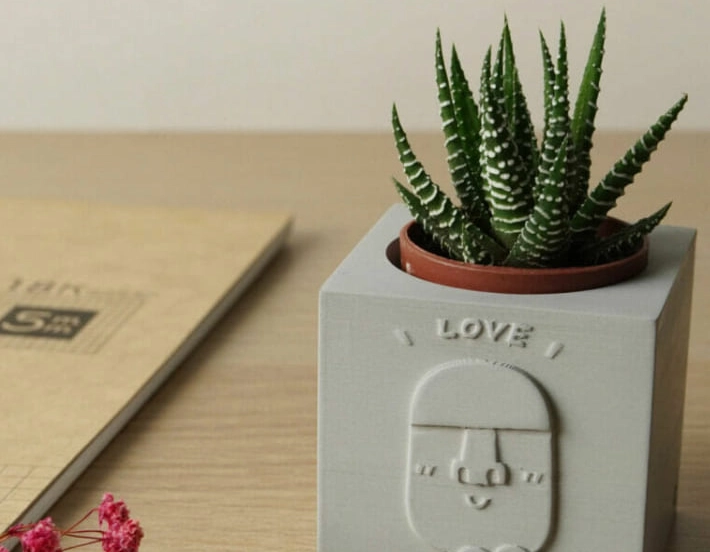 桌面植物 桌面植物