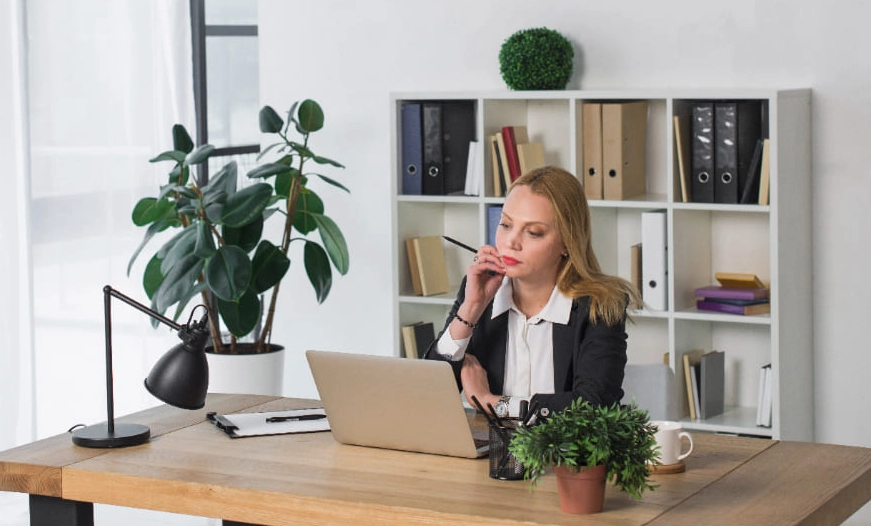 辦公室植物風水