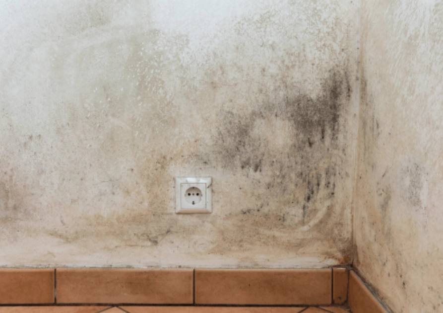 天然除霉妙招 天然除霉妙招