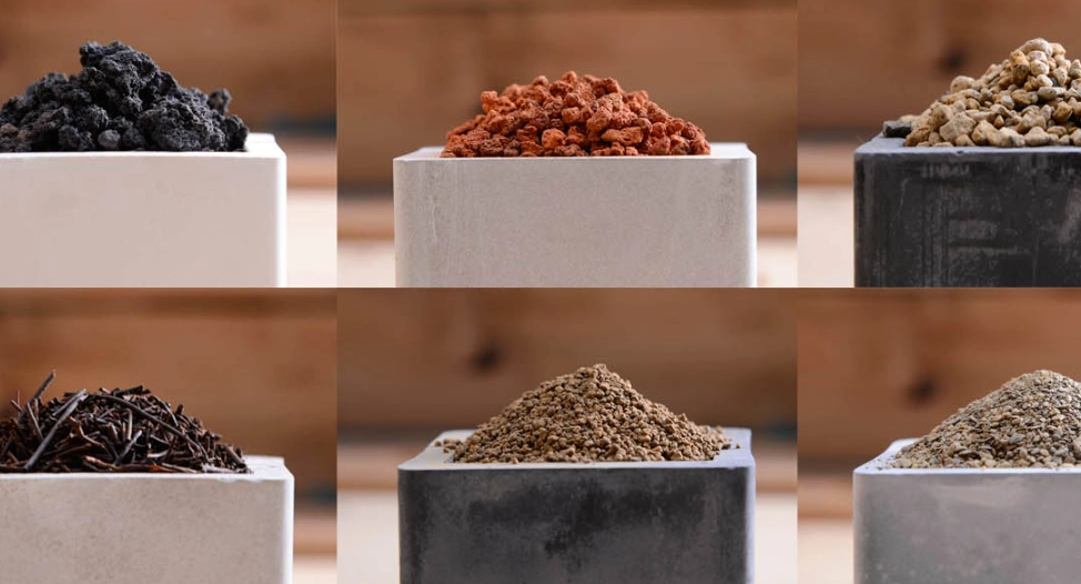 金錢樹土壤 金錢樹土壤