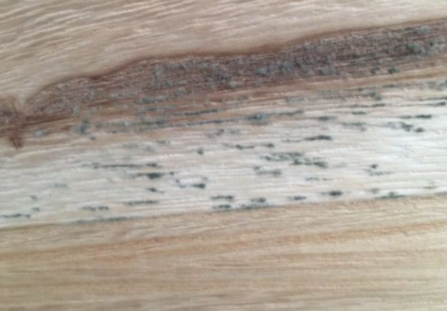 漂白水除霉比例 漂白水除霉比例