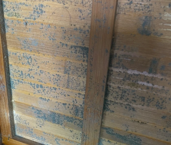 台灣潮濕家具保養 台灣潮濕家具保養