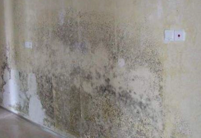 精油防霉方法 精油防霉方法