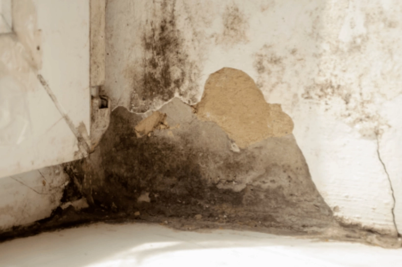 精油防霉方法 精油防霉方法