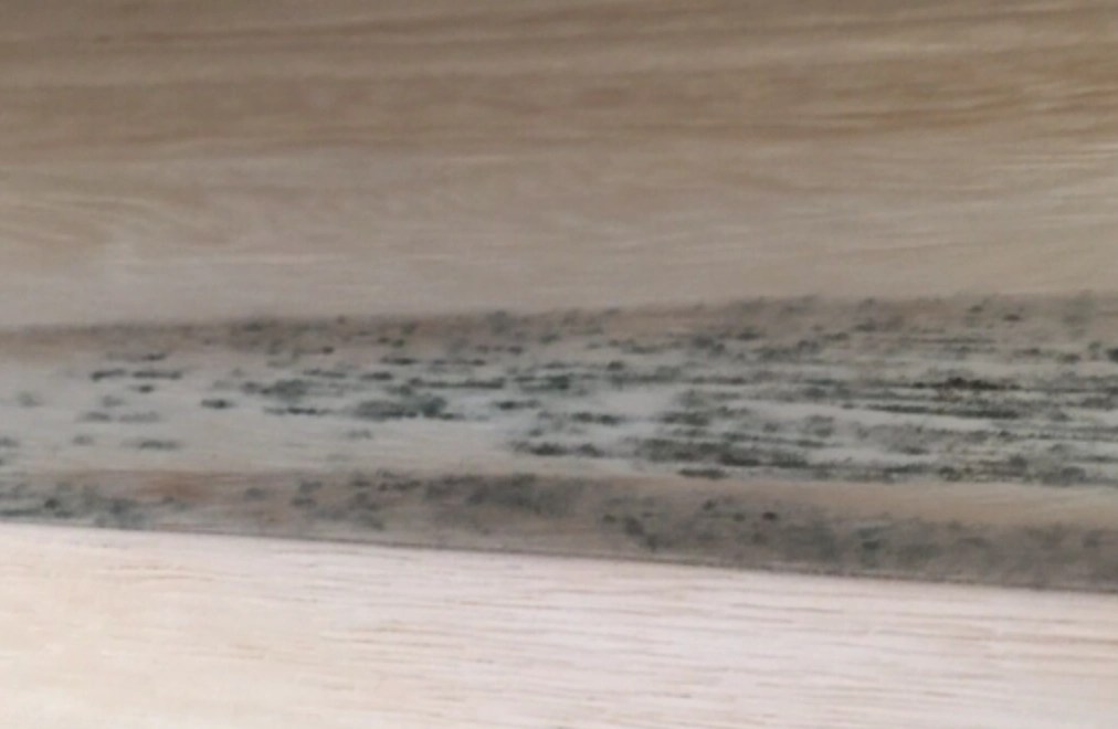 木頭除霉方法 木頭除霉方法