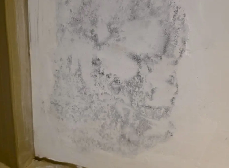 天然除霉妙招 天然除霉妙招