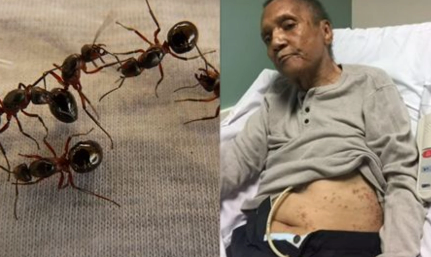 夢境心理學 夢境心理學