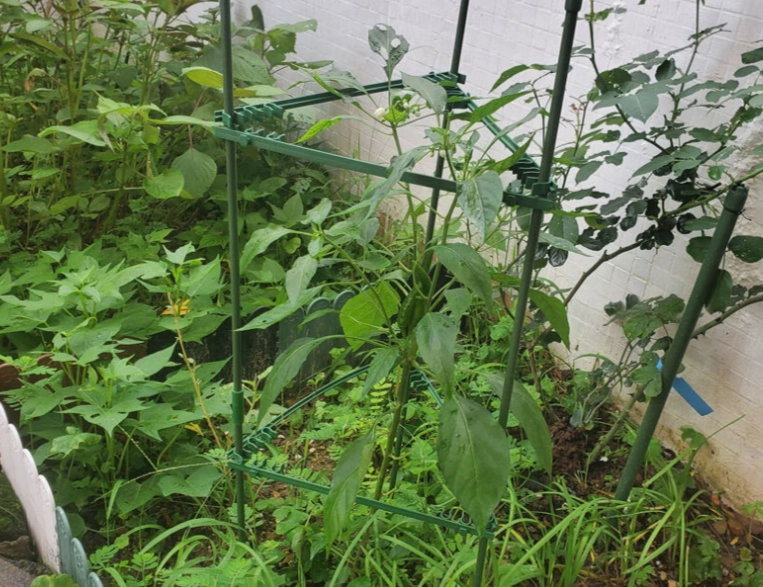 DIY番茄支架