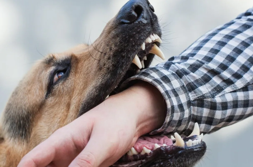 夢境心理學 台灣 夢境心理學 台灣