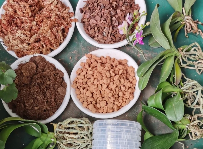 蘭花介質配方 蘭花介質配方