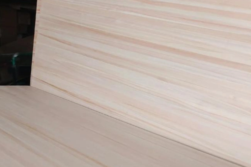 貓咪木材毒性 貓咪木材毒性