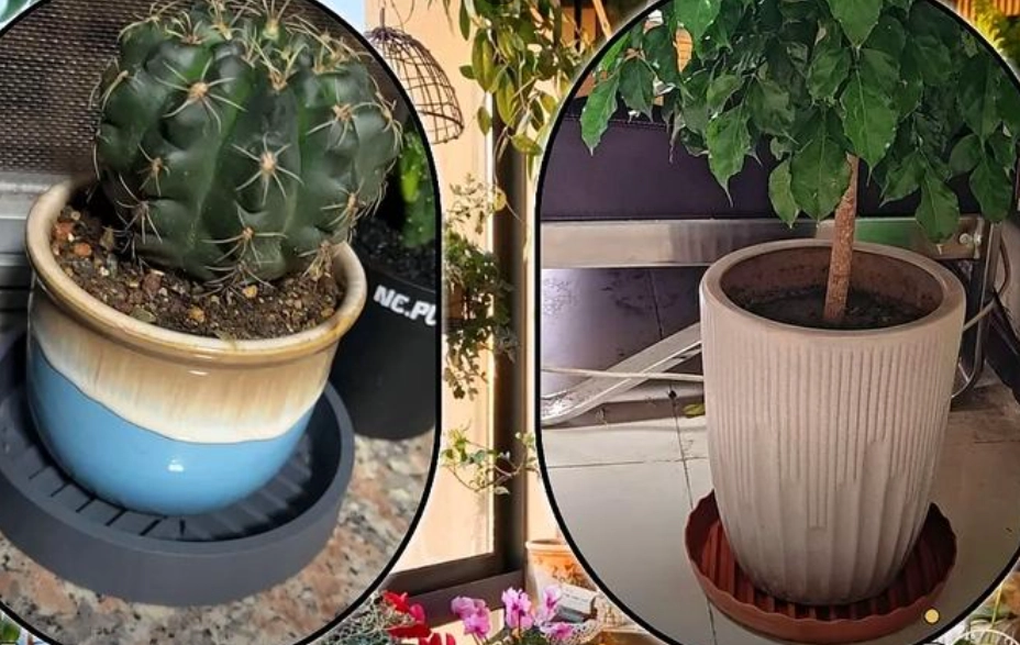 花盆底盤怎麼用