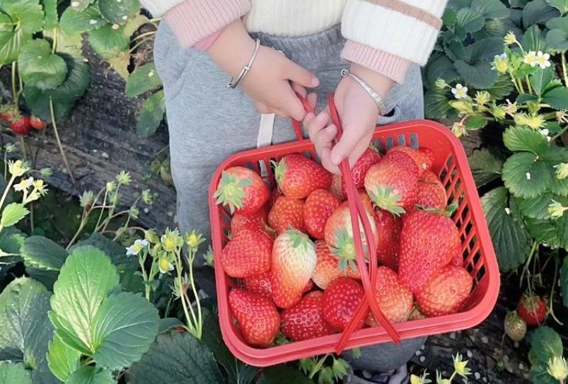 內湖親子一日遊 內湖親子一日遊