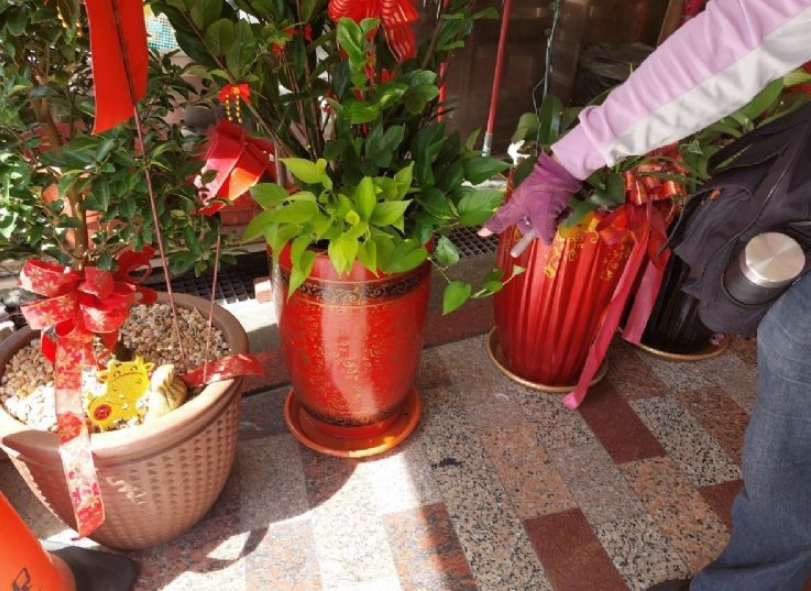 盆栽底部積水 盆栽底部積水