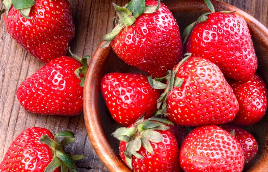 草莓品種介紹 草莓品種介紹