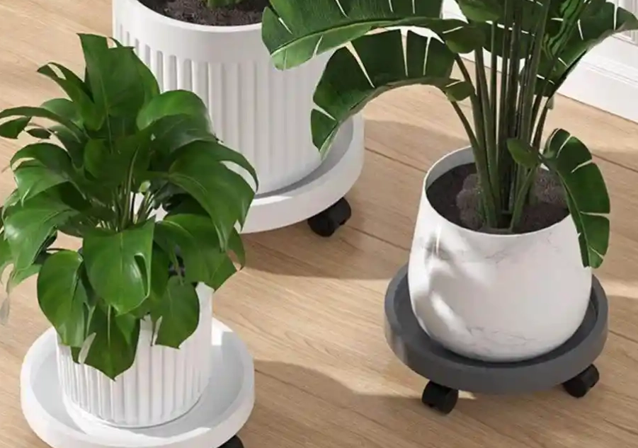 花盆底盤怎麼用