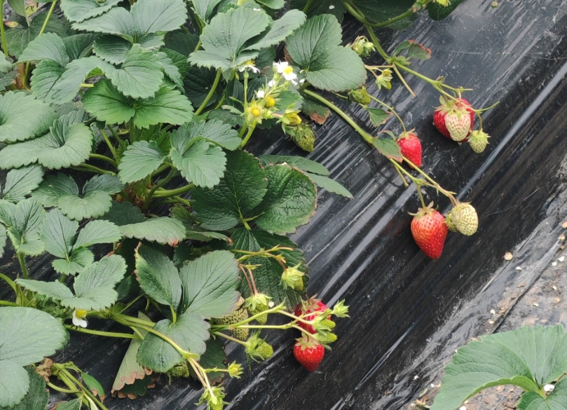 內湖親子一日遊