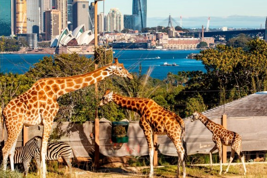 澳洲必去景点 澳洲必去景点