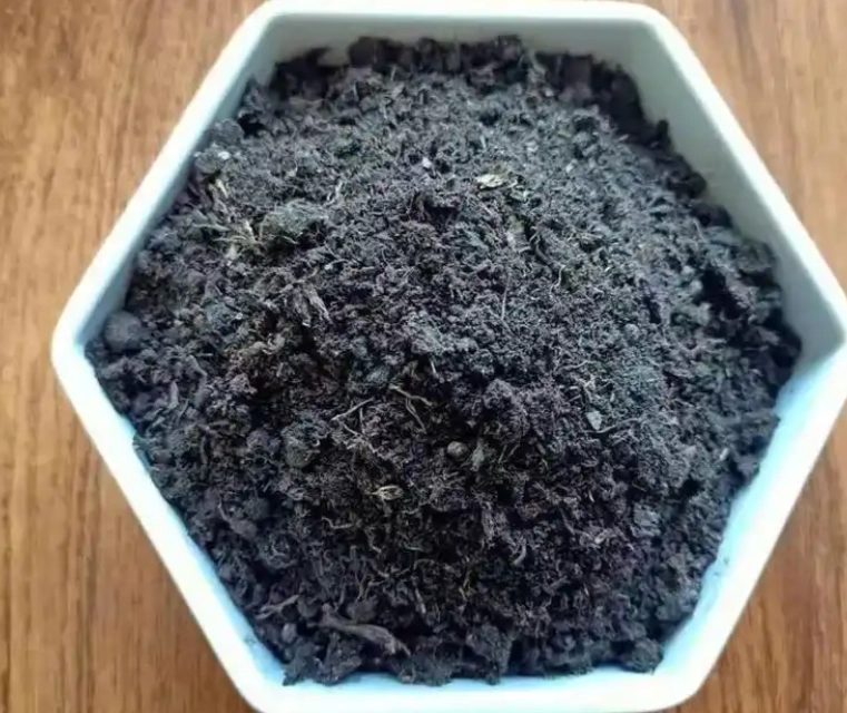 虎尾蘭 介質 調配