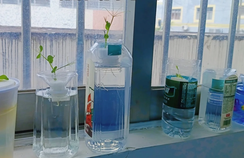 水培營養液配方 水培營養液配方