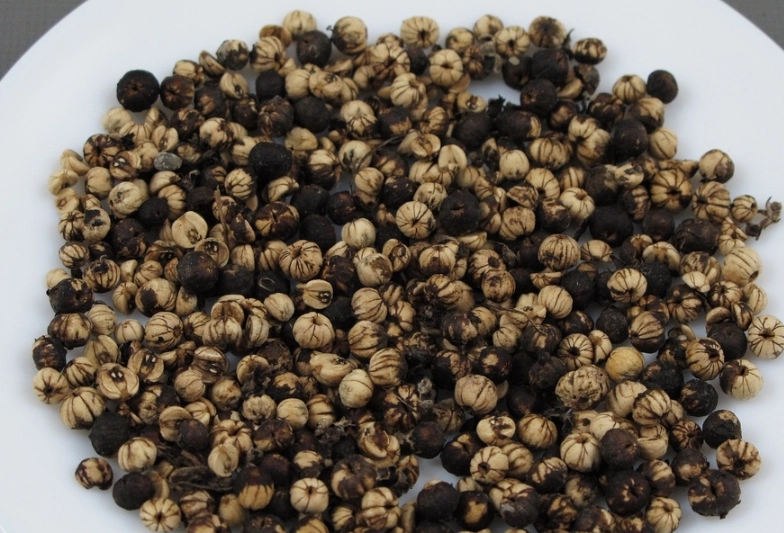 白水木種子種植