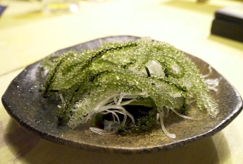 海葡萄食用注意