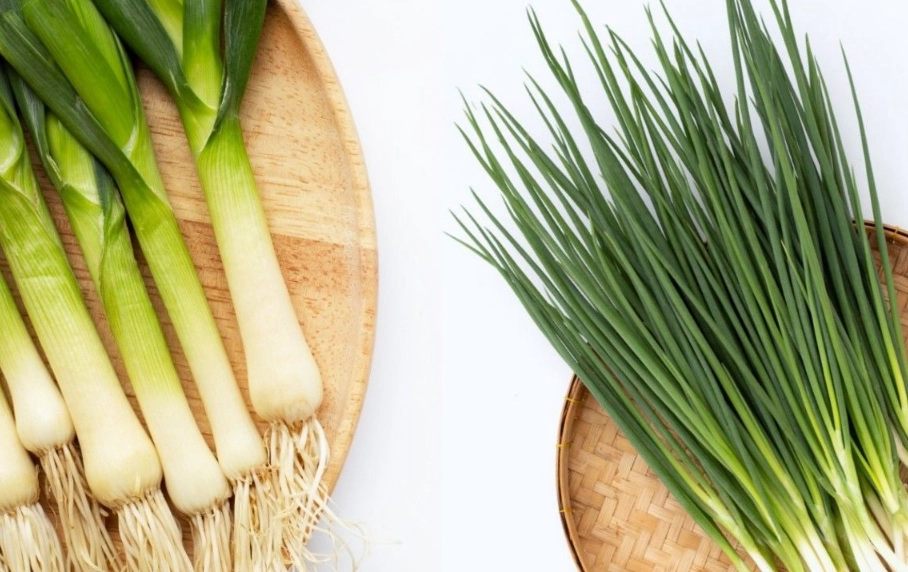 生吃蒜苗好處 生吃蒜苗好處