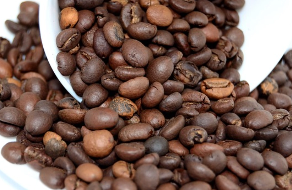 台中咖啡豆產地 台中咖啡豆產地