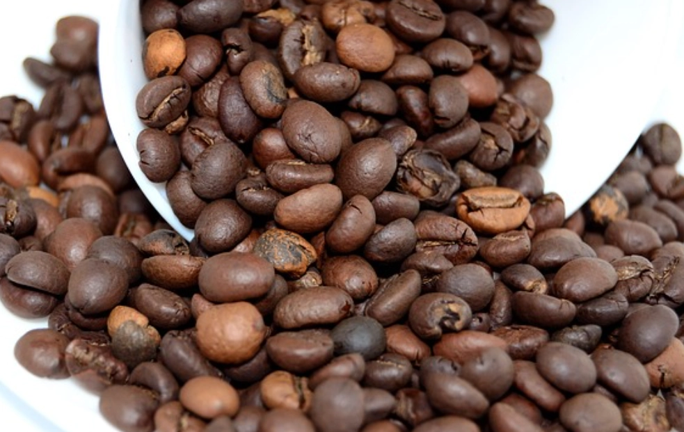 台中咖啡豆產地 台中咖啡豆產地