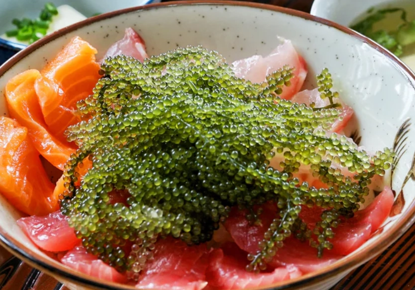 海葡萄口感 海葡萄口感