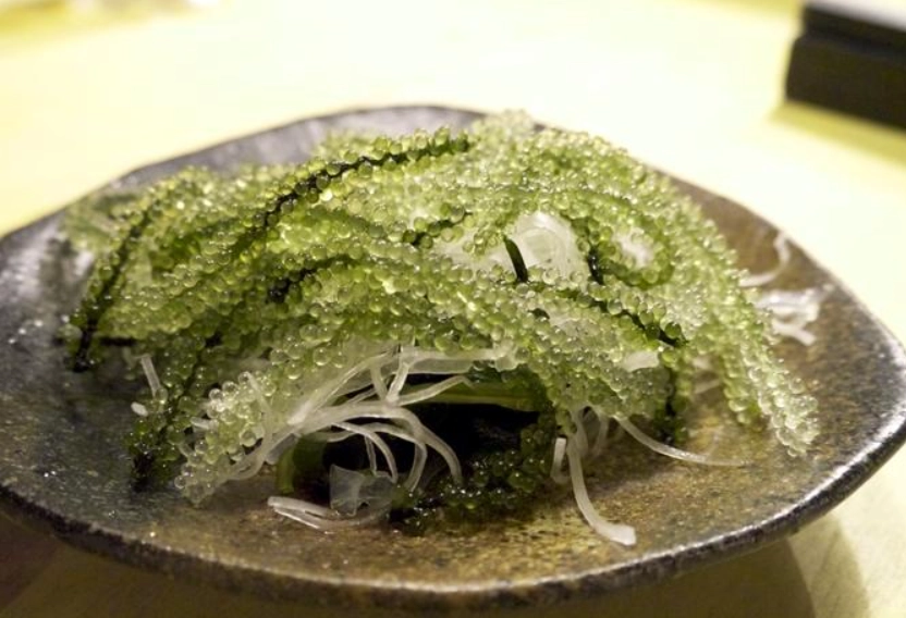 寵物海藻食品 寵物海藻食品