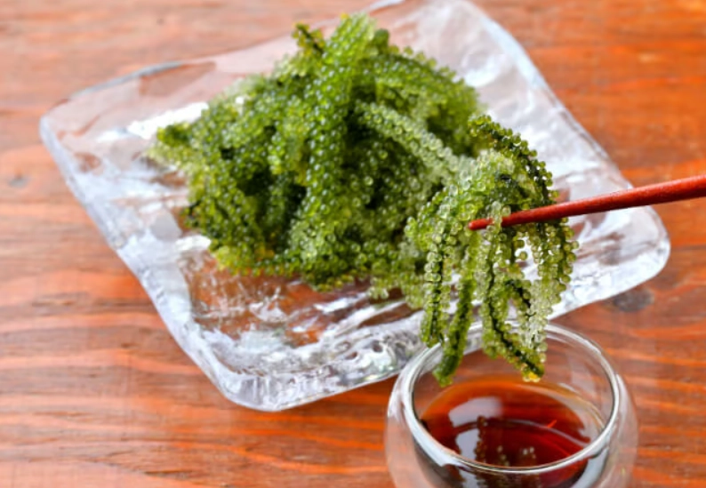 海葡萄營養價值 海葡萄營養價值