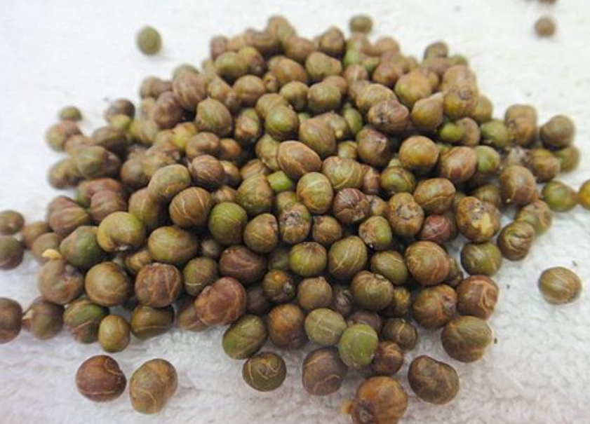 白水木種子用途