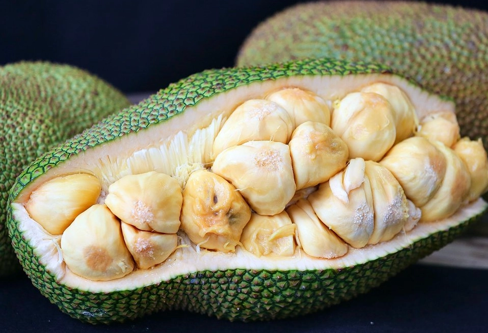 波羅蜜 夢境 解析 波羅蜜 夢境 解析